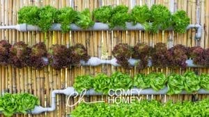 Outdoor Vertical Gardens to Pinoy Homes